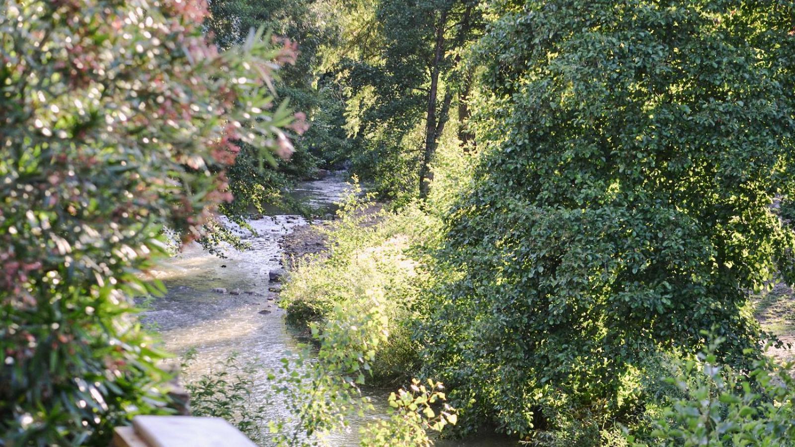 Gites De La Soulondre Lodève Екстериор снимка